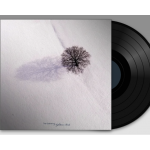 Nighttime Birds (Black Vinyl)